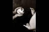 Deb Stagg Photo Maternity