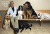 Deb Stagg Photo Pets