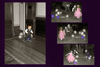 Deb Stagg Photo Weddings